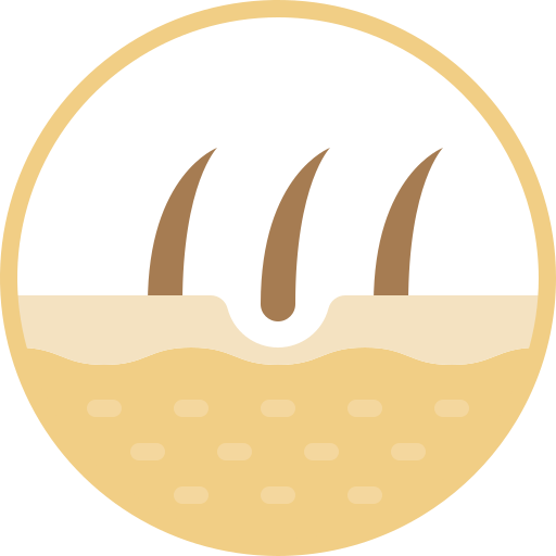 Natural Appearance Icon